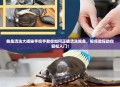 鲍鱼清洗大揭秘手把手教你如何正确清洗鲍鱼，视频教程助你轻松入门！