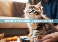 新手必看！全方位训小猫教程，让你的猫咪成为贴心伙伴