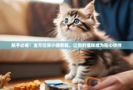 新手必看！全方位训小猫教程，让你的猫咪成为贴心伙伴