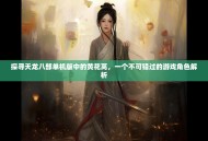 探寻天龙八部单机版中的黄花莴，一个不可错过的游戏角色解析