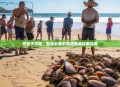 挖蛏子攻略，新手必看的海滩美食探索指南