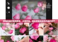 玫瑰花编织视频教程,从零开始,轻松掌握浪漫花艺编织技巧