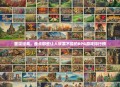 重温经典，盘点那些让人欲罢不能的RPG游戏排行榜