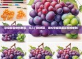 彩铅葡萄绘制教程，从入门到精通，轻松掌握葡萄彩铅绘制技巧
