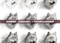 狼素描教程,从基础到进阶,一步步绘制出灵动的狼像