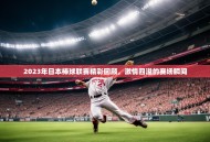 2023年日本棒球联赛精彩回顾，激情四溢的赛场瞬间