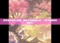 桃花源记手游九游版，穿越千年的仙境之旅，一键下载体验仙侠魅力！