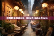 香港胡同桑拿体验攻略，探秘城市中的隐秘养生之地