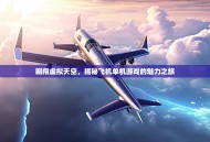 翱翔虚拟天空，揭秘飞机单机游戏的魅力之旅