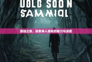 孤独之旅，探索单人游戏的魅力与深度