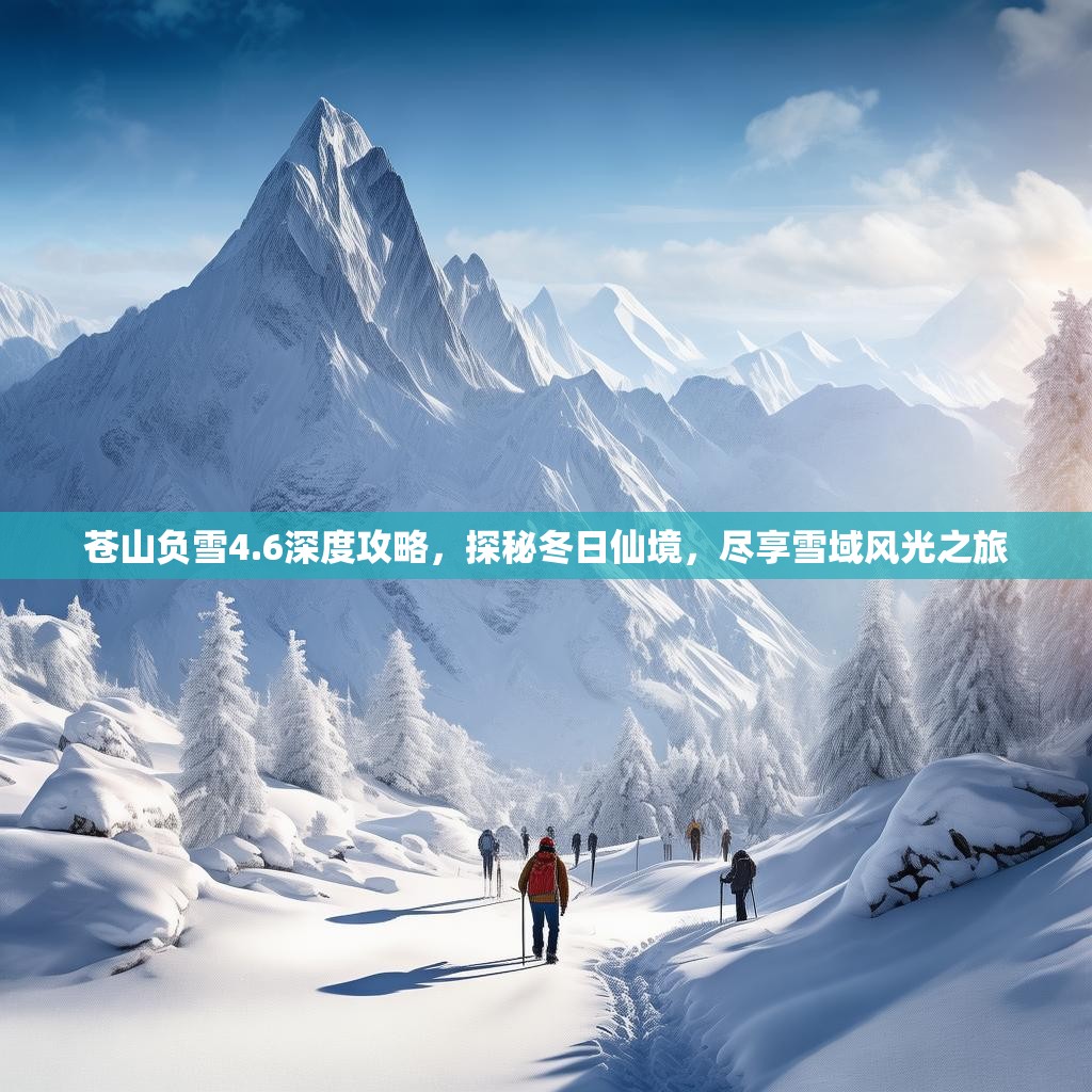 苍山负雪4.6深度攻略，探秘冬日仙境，尽享雪域风光之旅