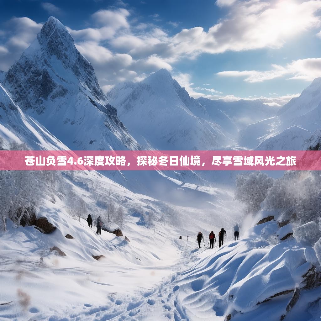 苍山负雪4.6深度攻略，探秘冬日仙境，尽享雪域风光之旅