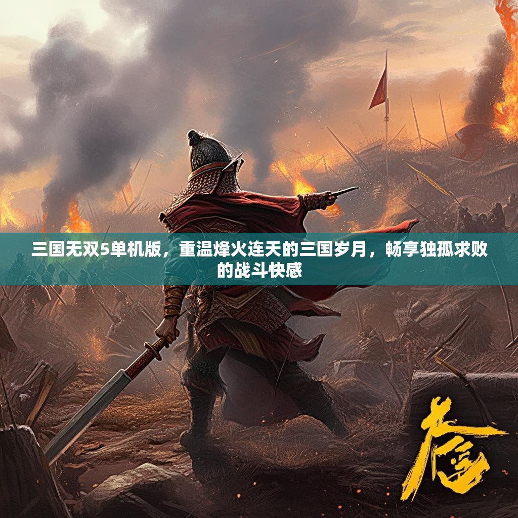 三国无双5单机版，重温烽火连天的三国岁月，畅享独孤求败的战斗快感