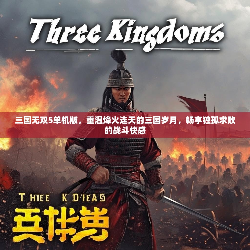 三国无双5单机版，重温烽火连天的三国岁月，畅享独孤求败的战斗快感
