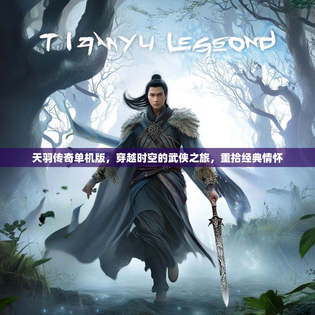 天羽传奇单机版，穿越时空的武侠之旅，重拾经典情怀